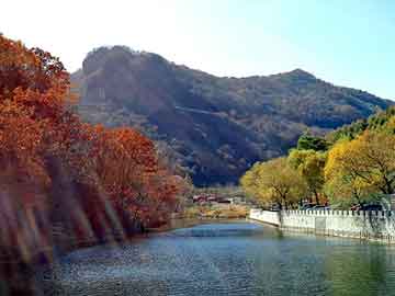 新澳天天开奖资料大全旅游团，双氧水价格